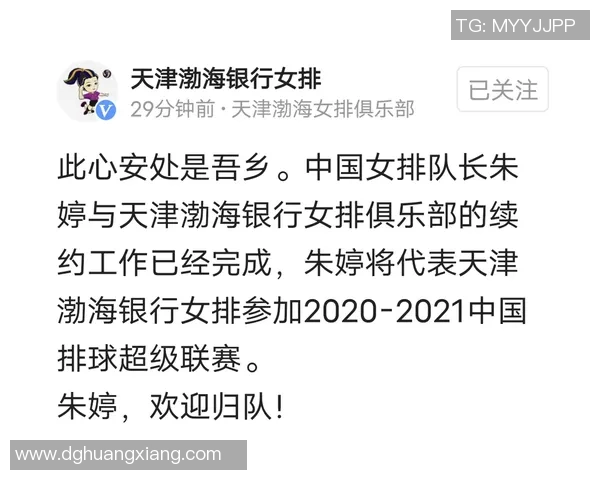 广州排球队实力之争引发热议球迷观点各异探讨未来发展方向