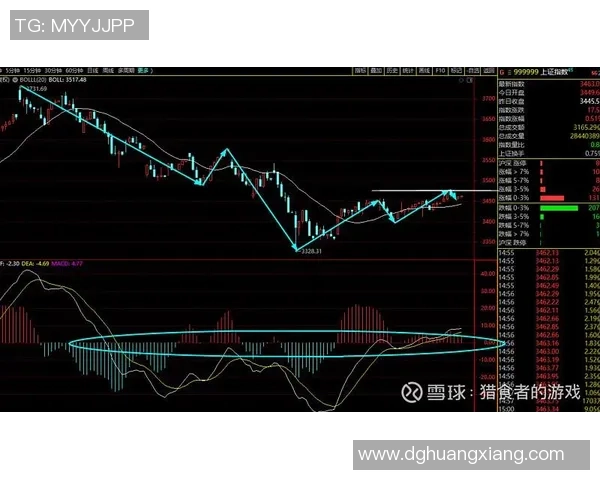 深圳羽毛球队与武汉羽毛球队赛后复盘分析比赛节奏与战术对决